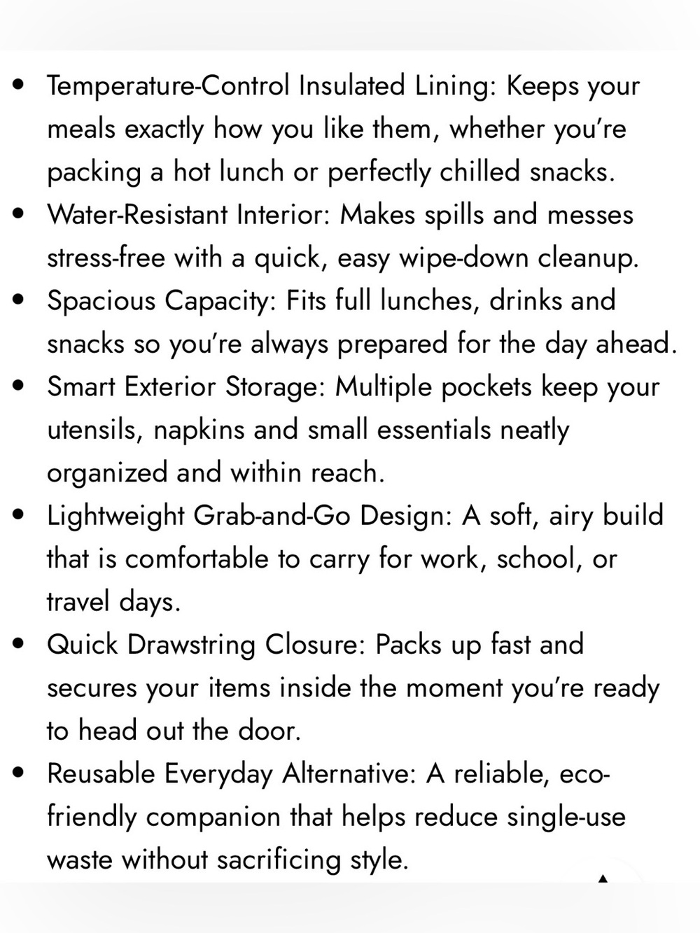 Calpak Insulated Lunch Bag - Picture 16 of 16